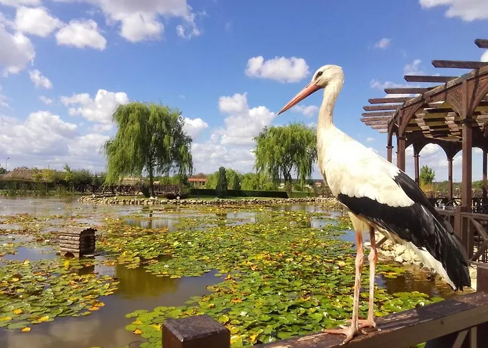 вяра, надежда, любов * Neofit Rilski